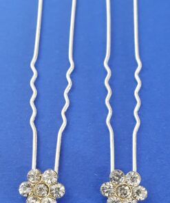 Forcine con strass